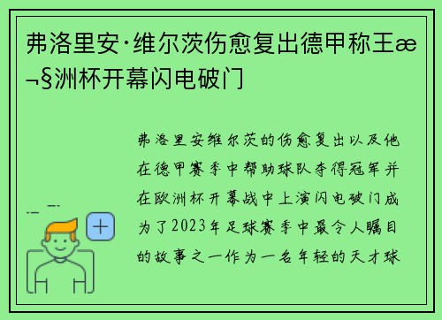 弗洛里安·维尔茨伤愈复出德甲称王欧洲杯开幕闪电破门